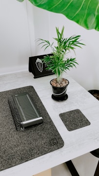 A minimalist desk with a white notebook, pen, and a small plant in soft natural light.