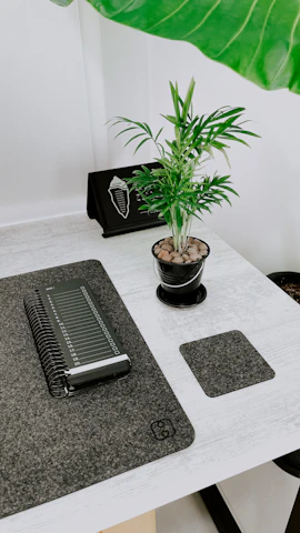 A minimalist desk featuring a journal, a wellness guidebook, and a small potted plant.