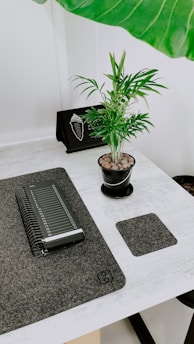 A small potted plant sits on a minimalist desk, accompanied by a spiral-bound notebook on a felt desk mat. There's a black stand holding a leaf-shaped object, and part of a large green leaf is visible in the upper portion.