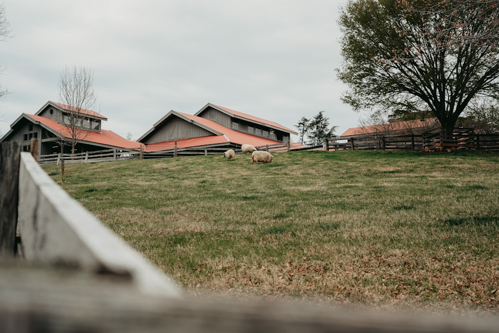 a couple of houses sitting on top of a lush green field