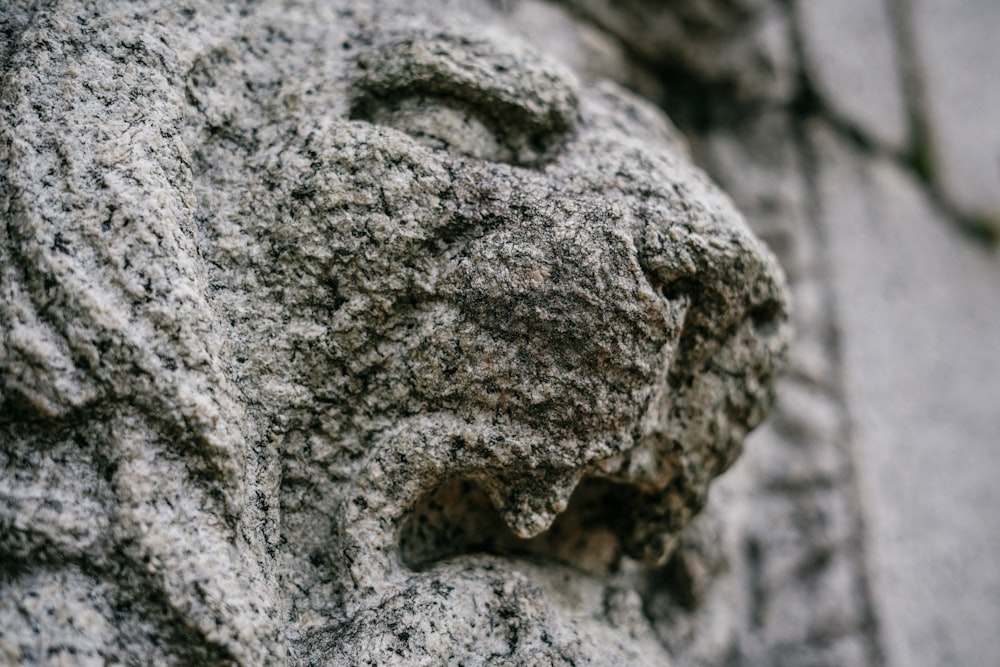 a close up of a stone lion face