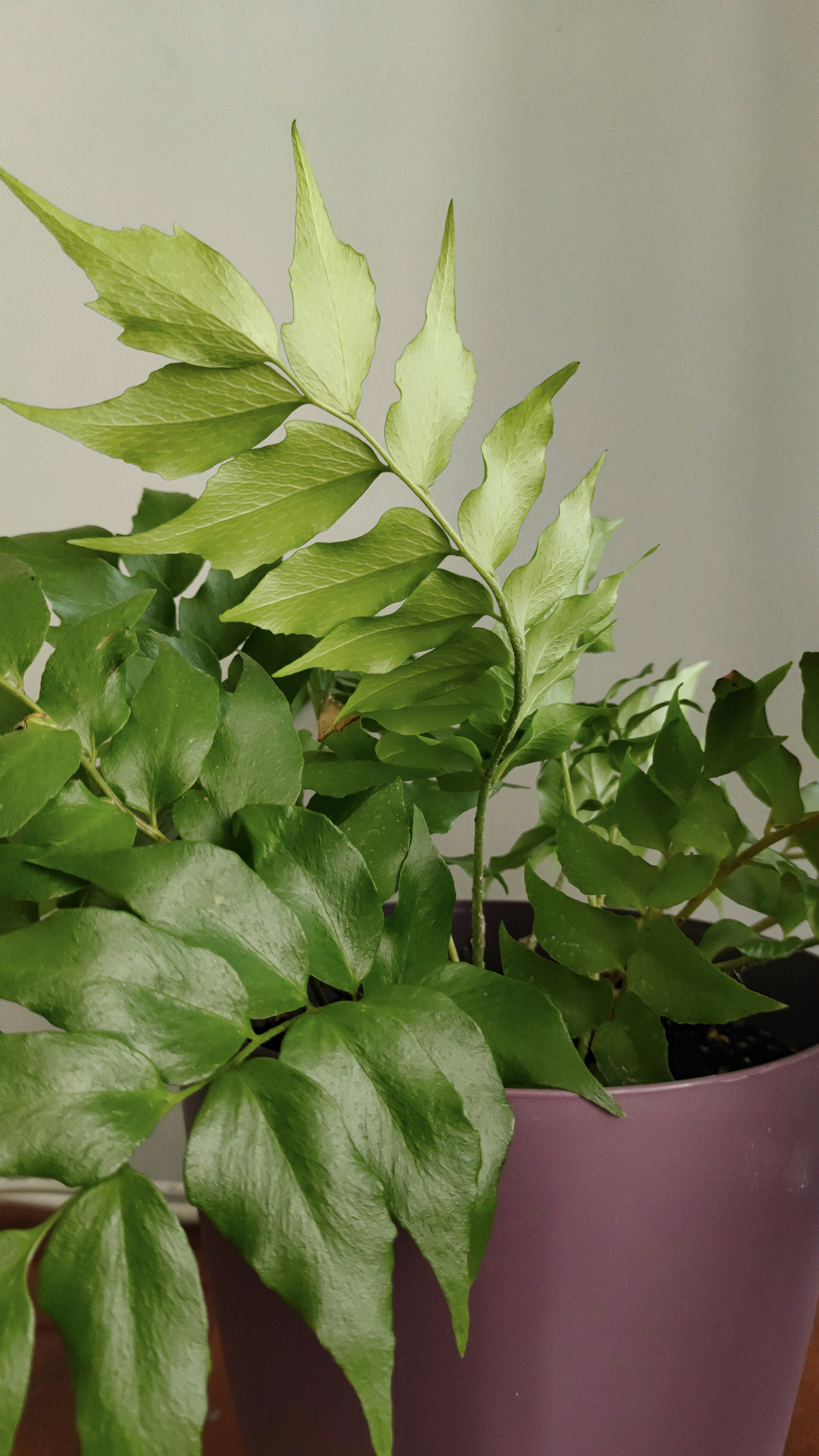 Photo by sabina_saribaeva