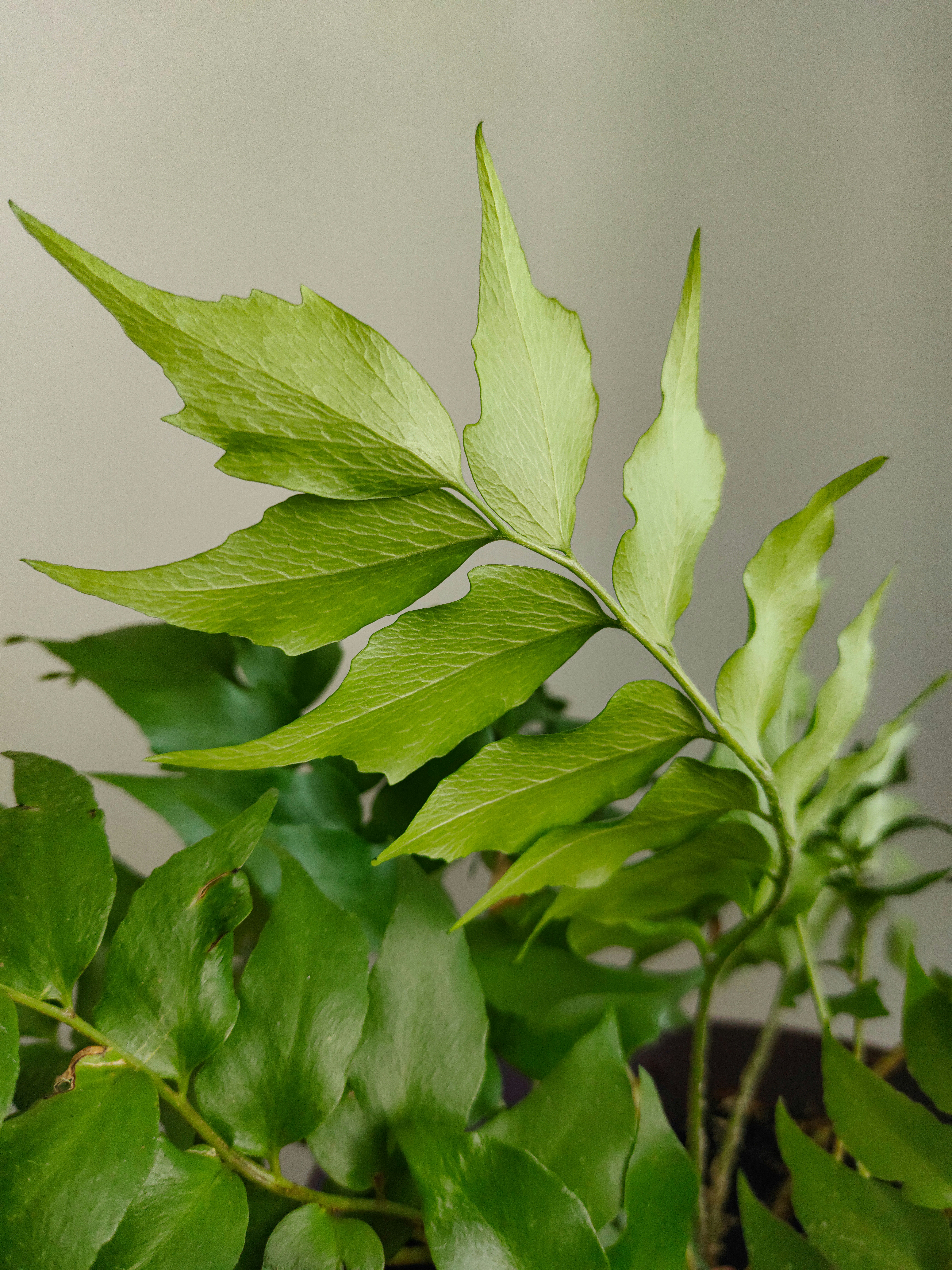 Photo by sabina_saribaeva