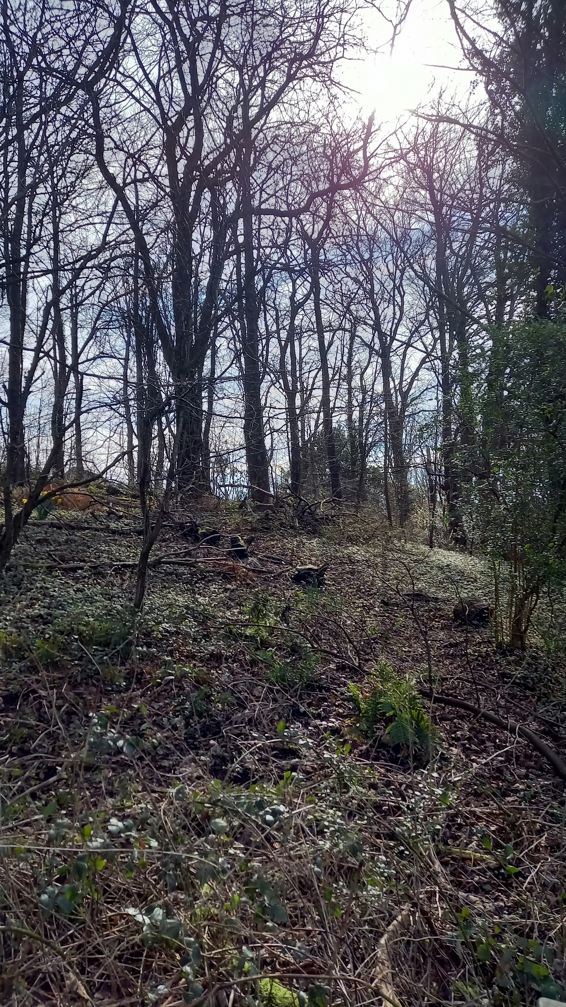 Photo by gingy_jester