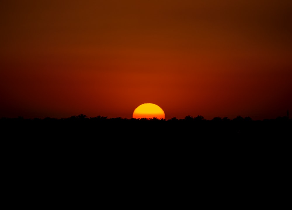 o sol está se pondo sobre um campo com árvores