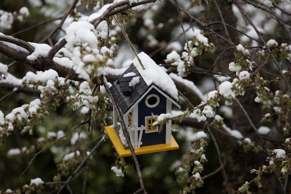 a bird house hanging from a tree covered in snow