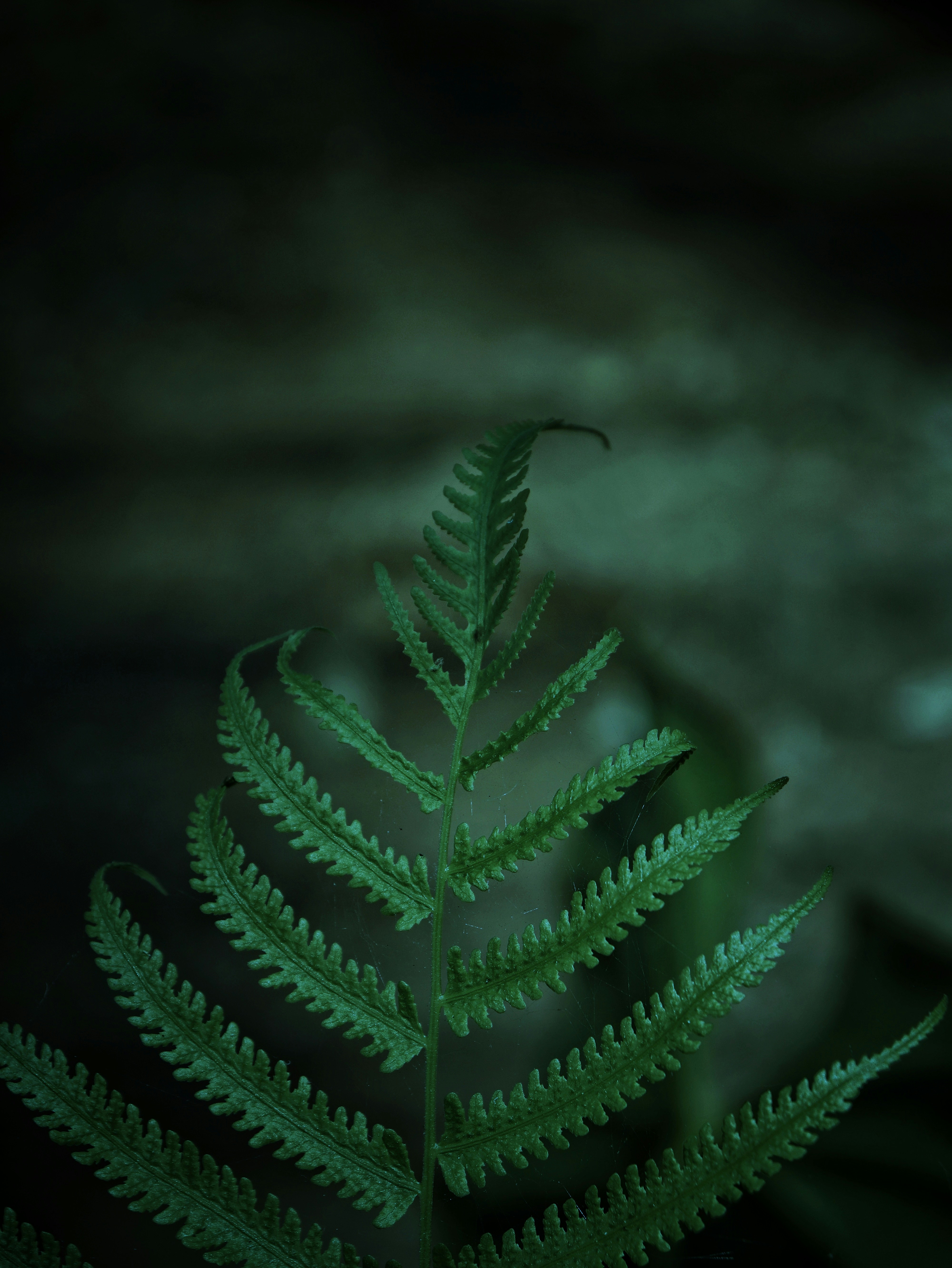 Photo by vikky_hegde