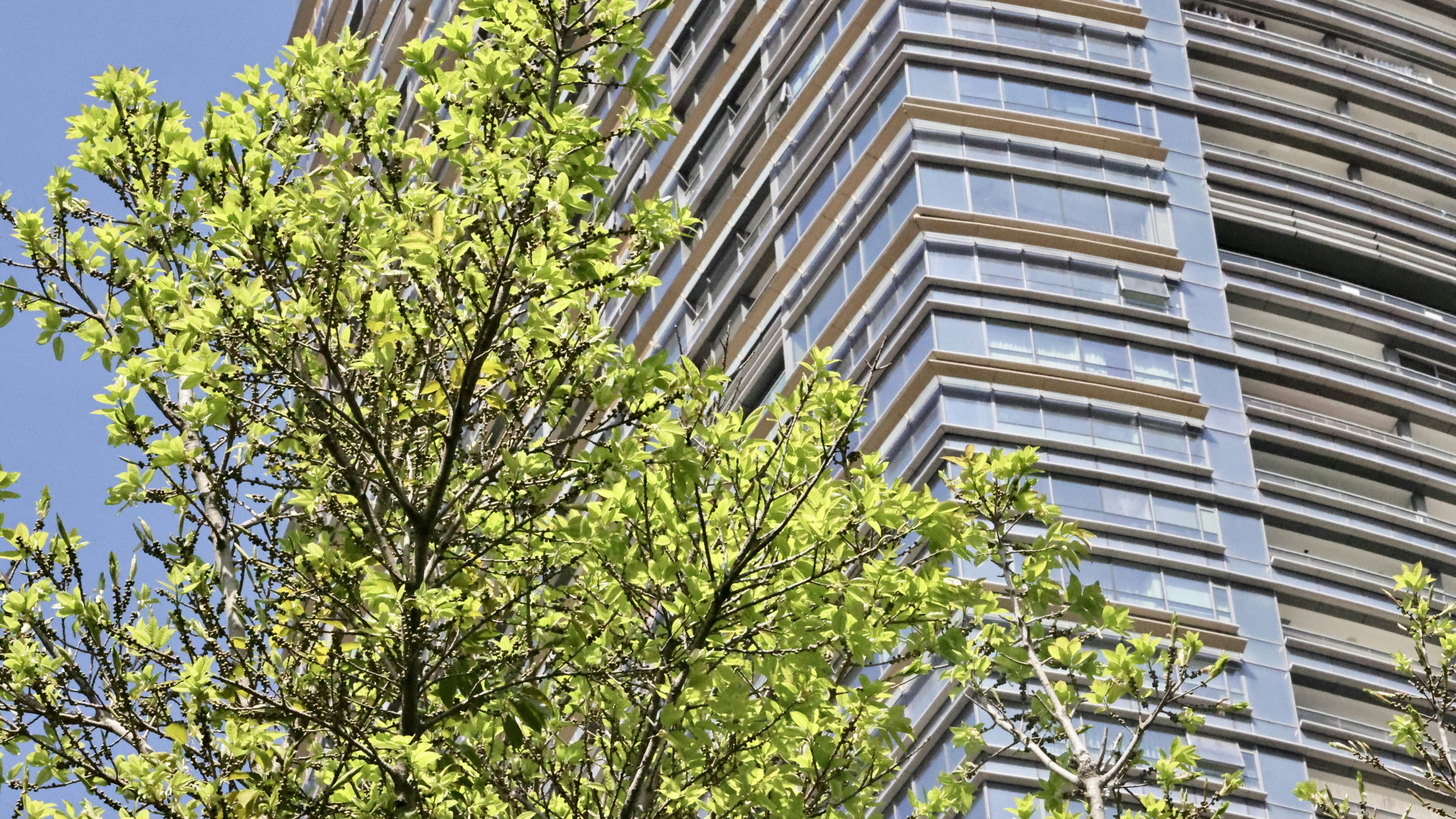 Photo by dickenslin76