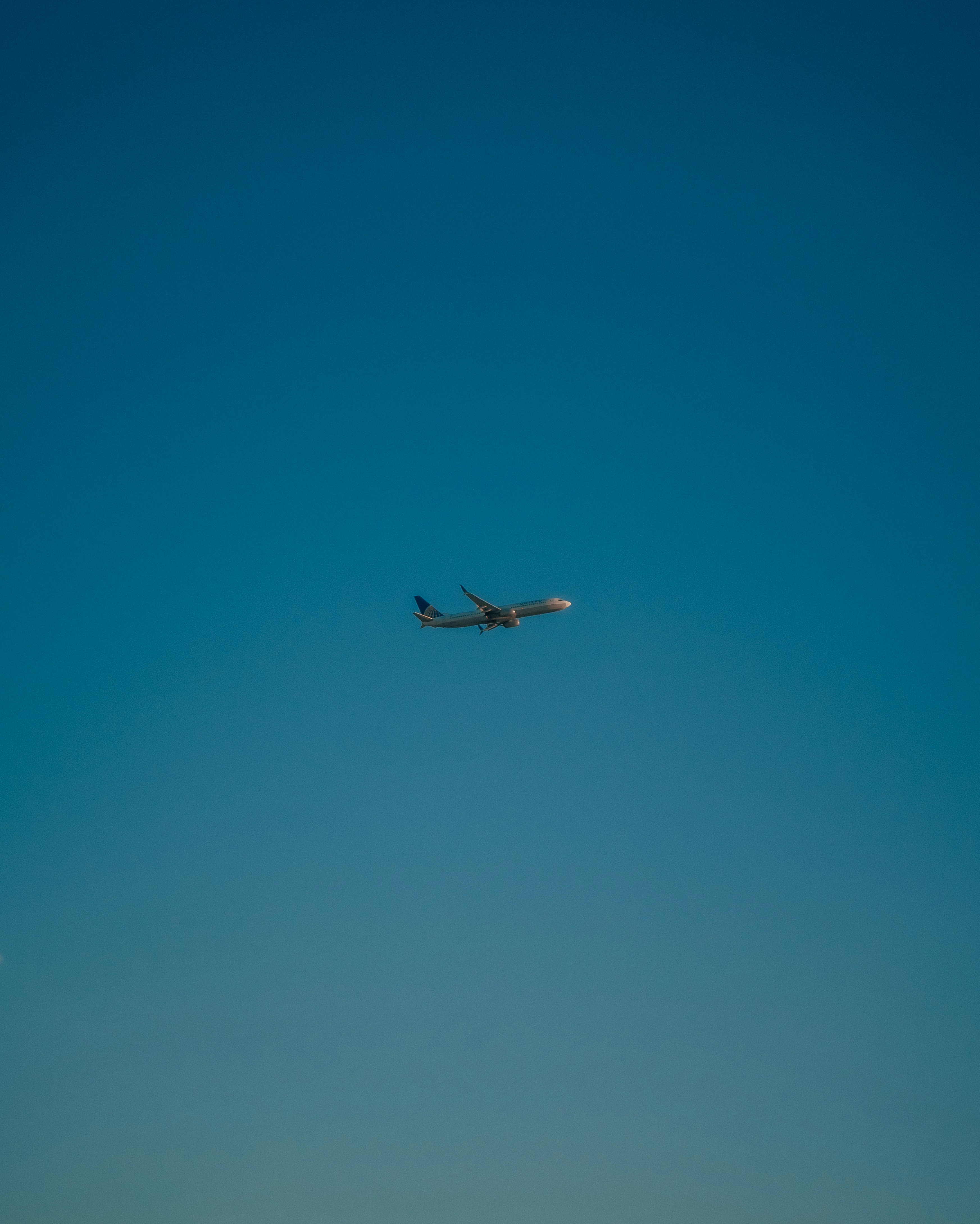 Photo by alenkajtezovic