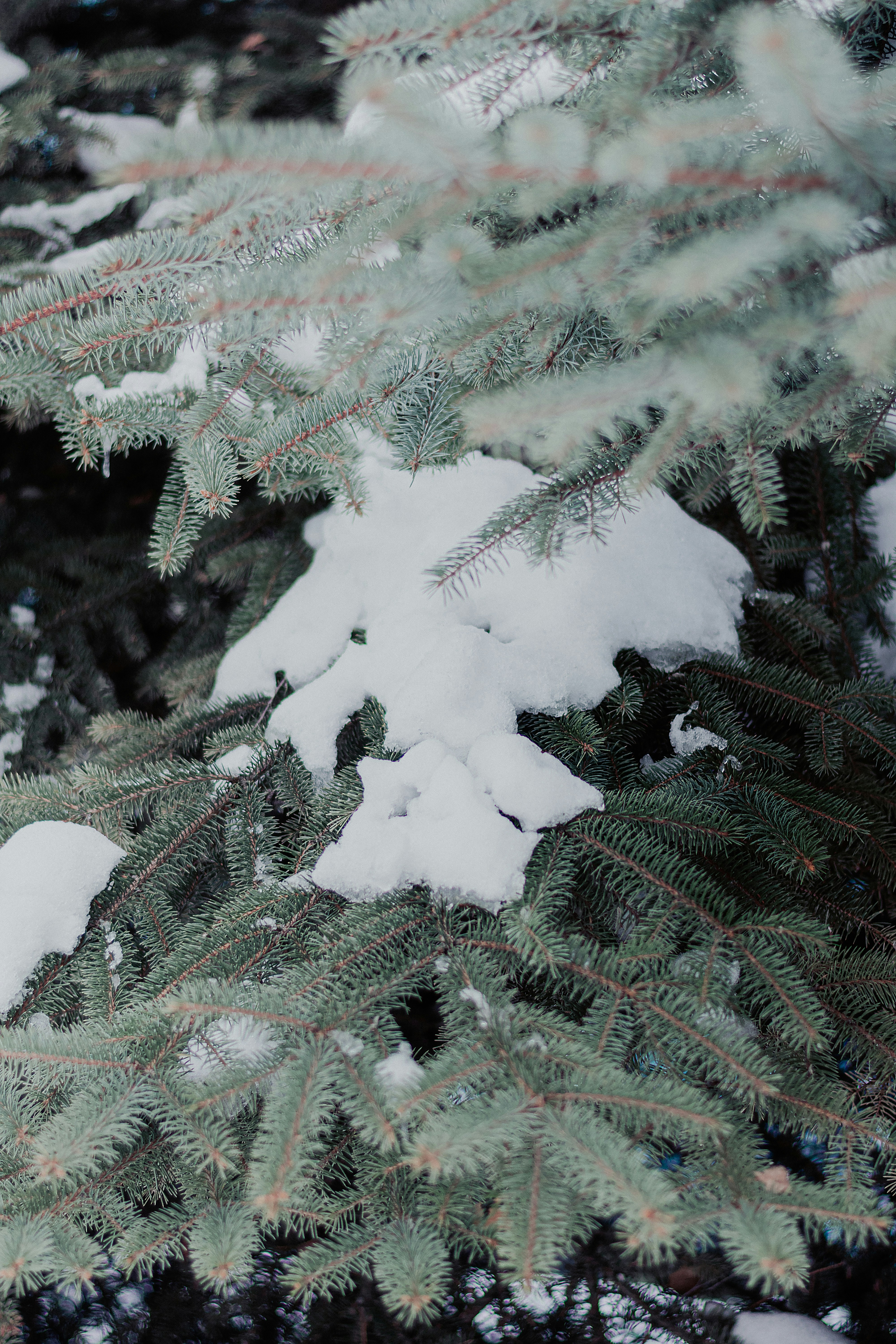 Photo by therealslkhv