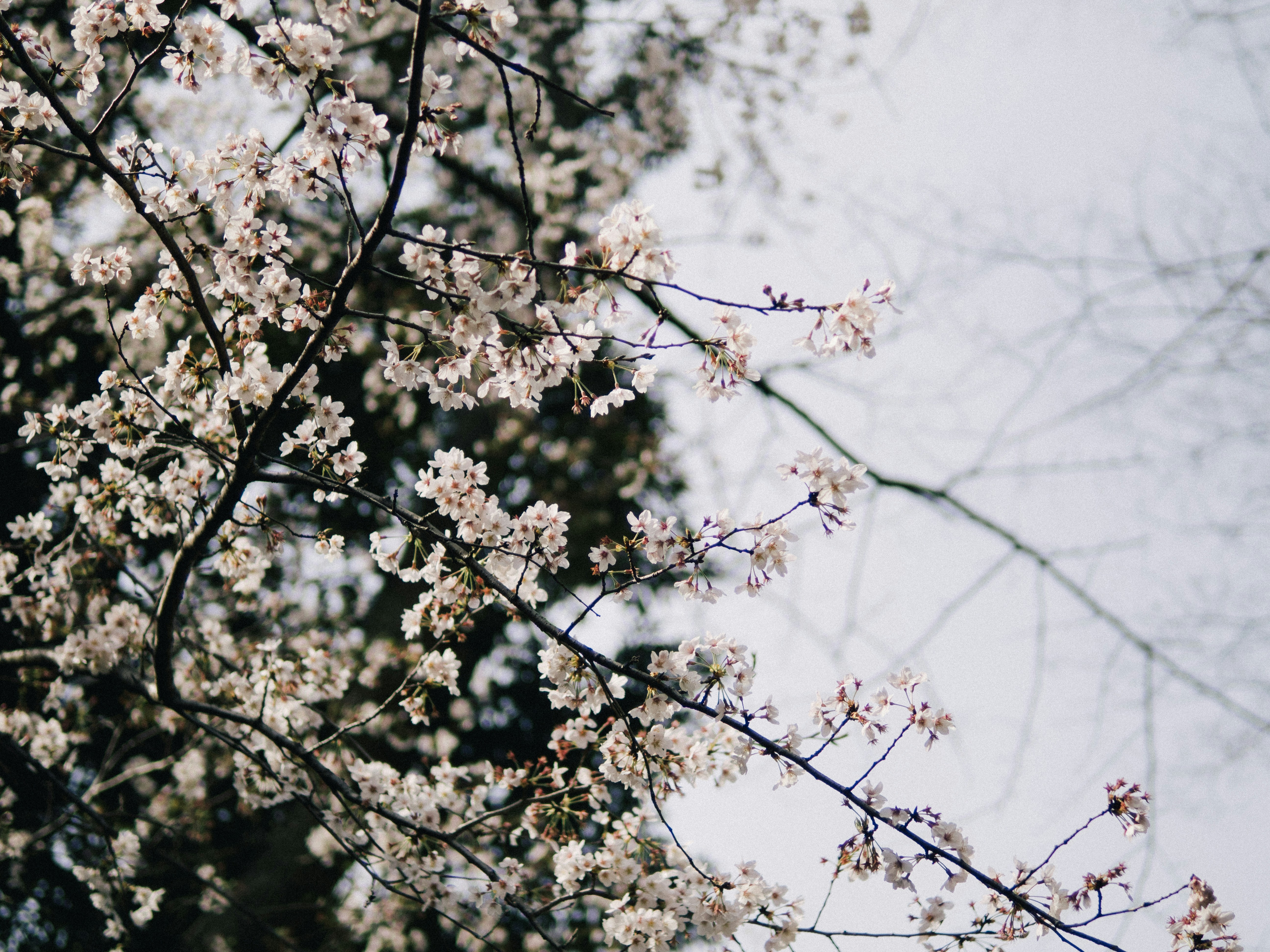 Photo by ultratunafish