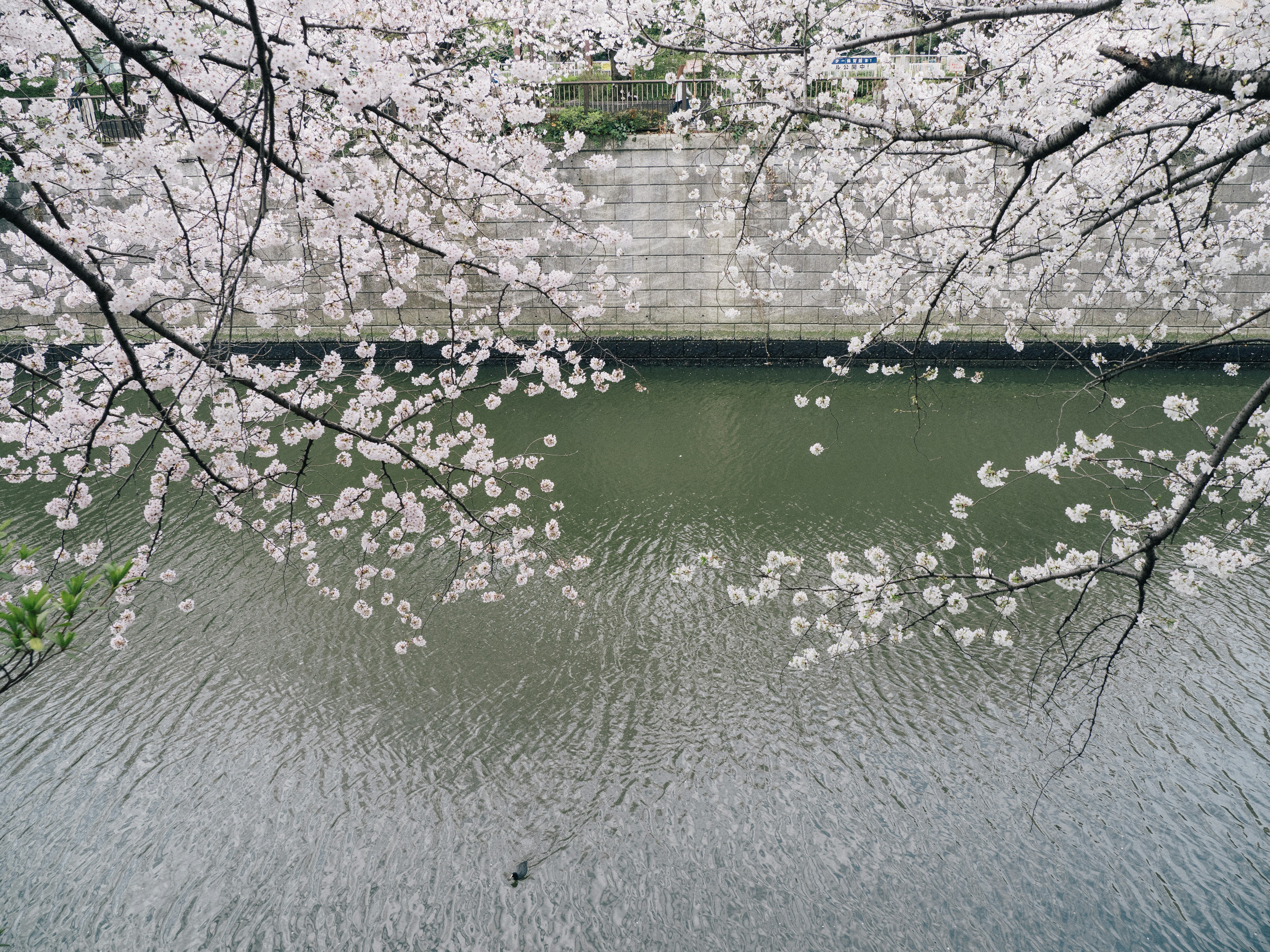 2023年还有298天了