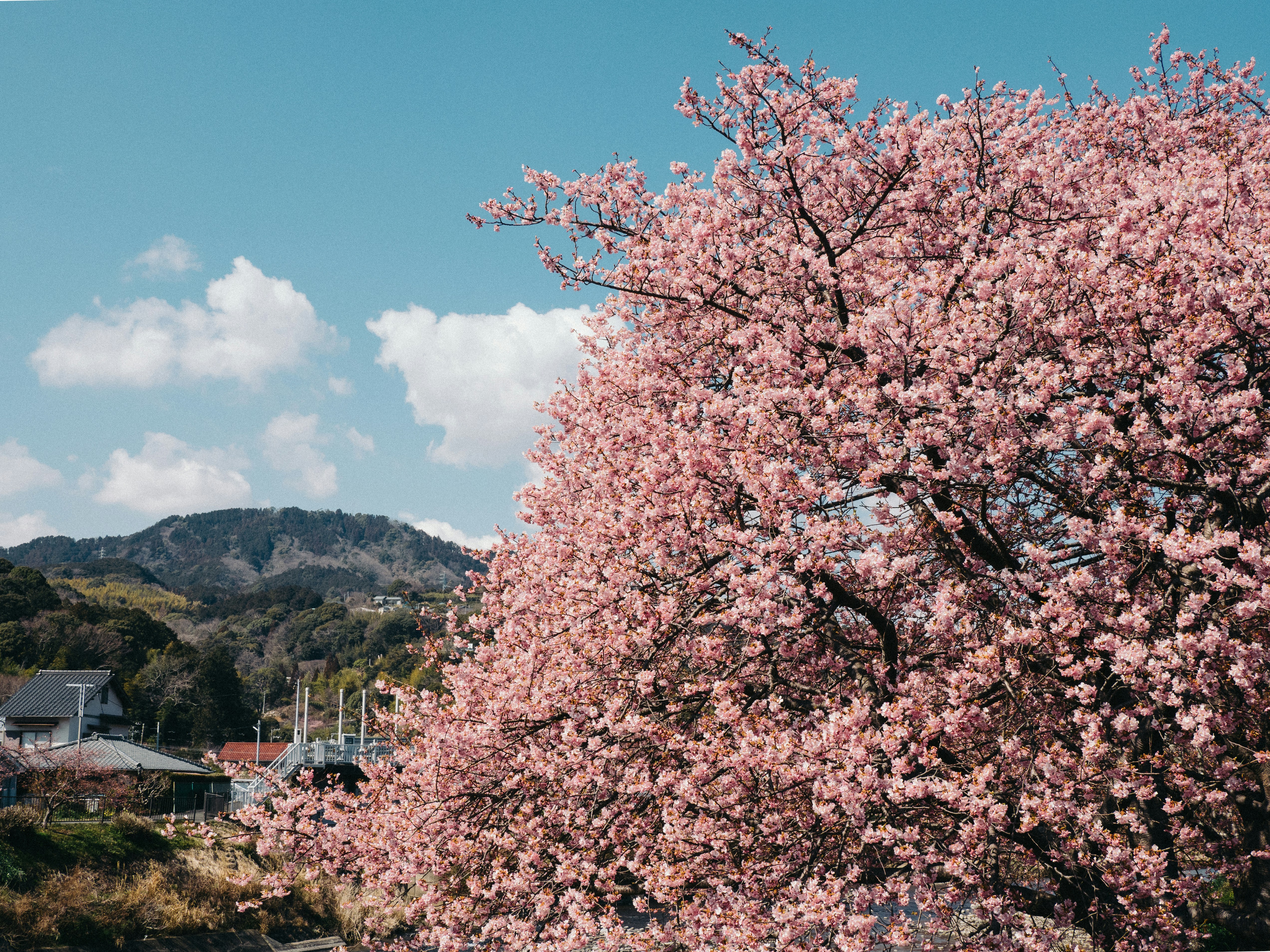 Photo by ultratunafish