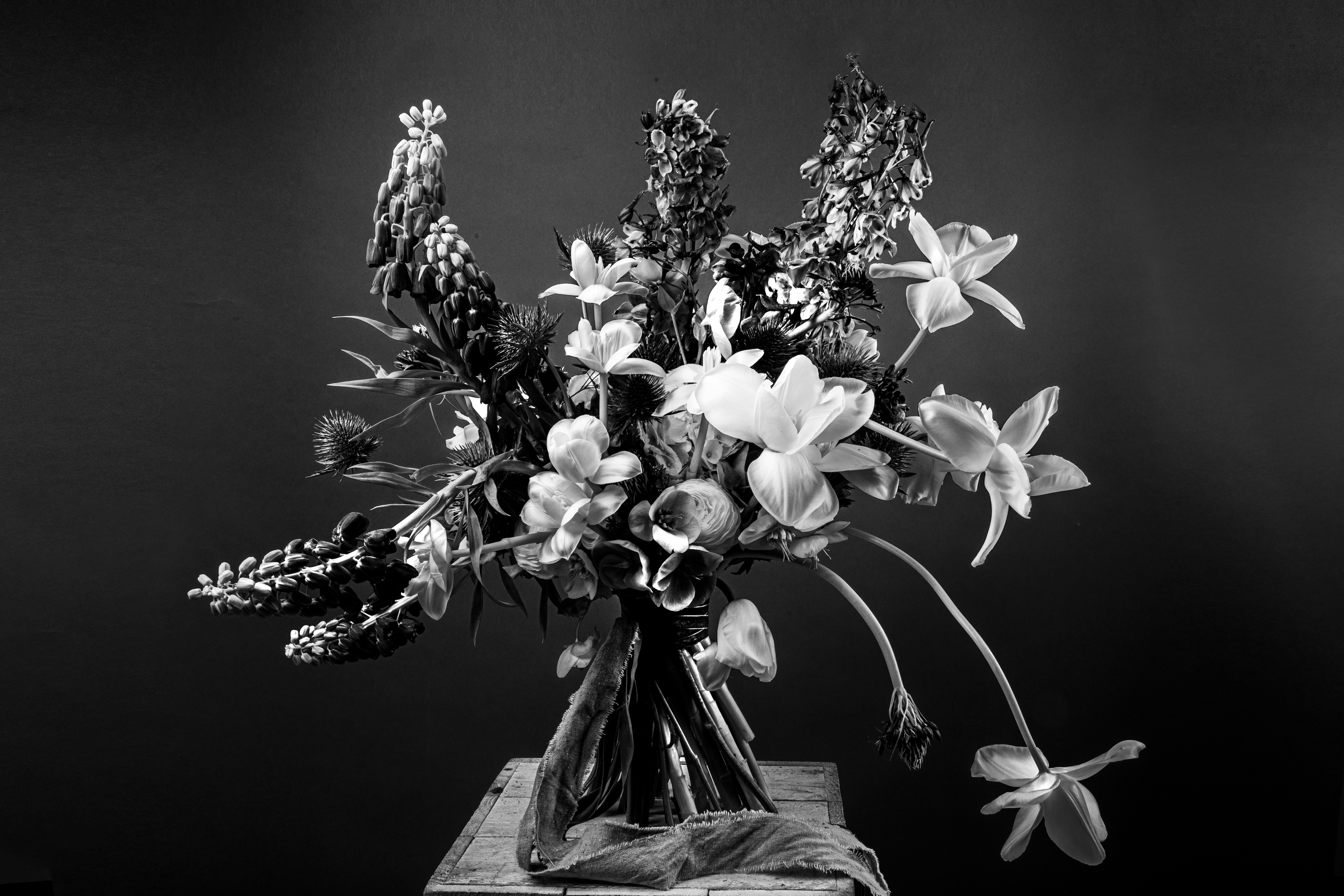 Photo by filipp_roman_photography