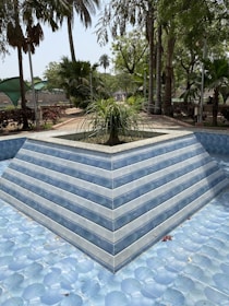a blue and white tiled pool with a plant in the middle