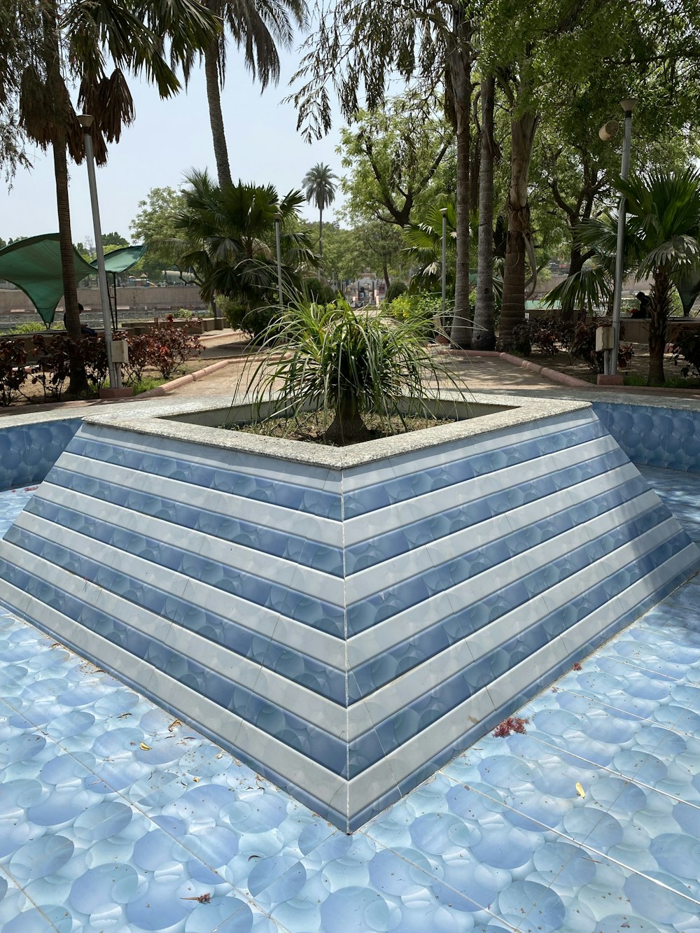 a blue and white tiled pool with a plant in the middle