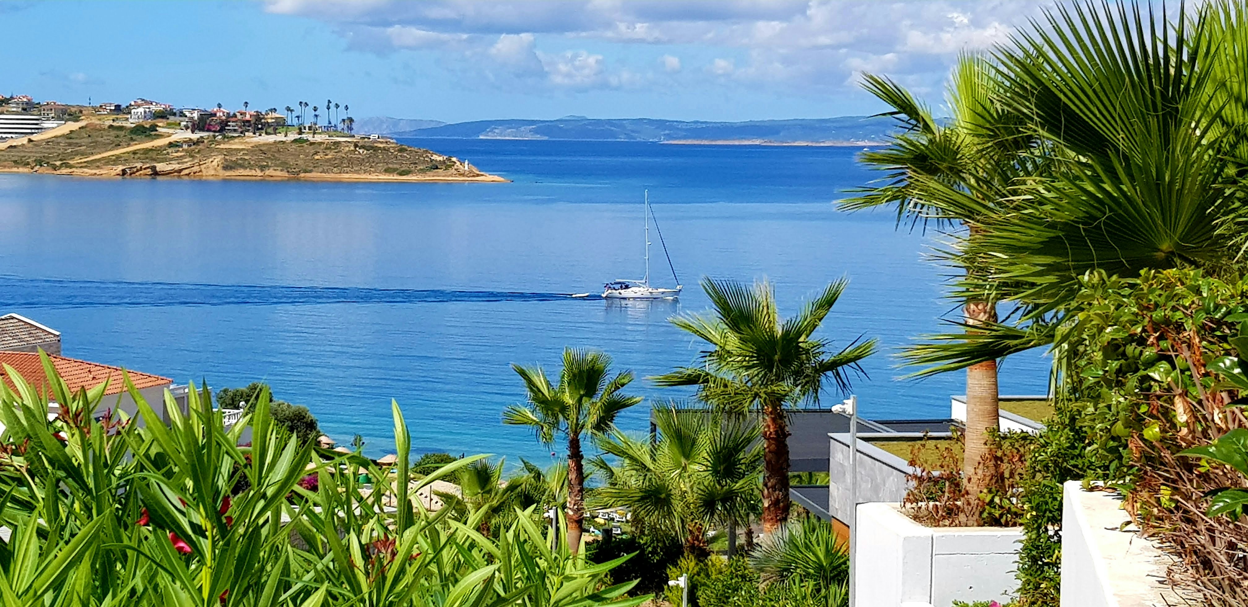 a boat is out on the water near some palm trees