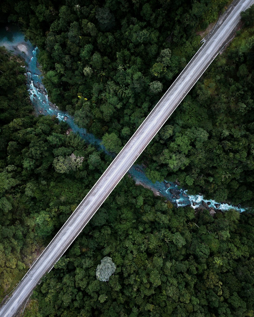 a close up of a street with Lynn Canyon Suspension Bridge in the background