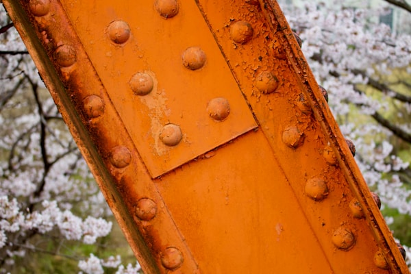 What to See in Inuyama: Travel Guide & Tips