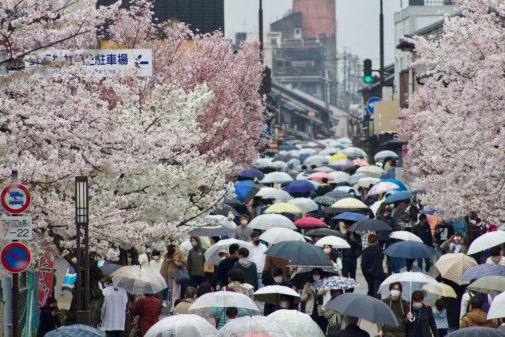 a crowd of people walking down a street holding umbrellas