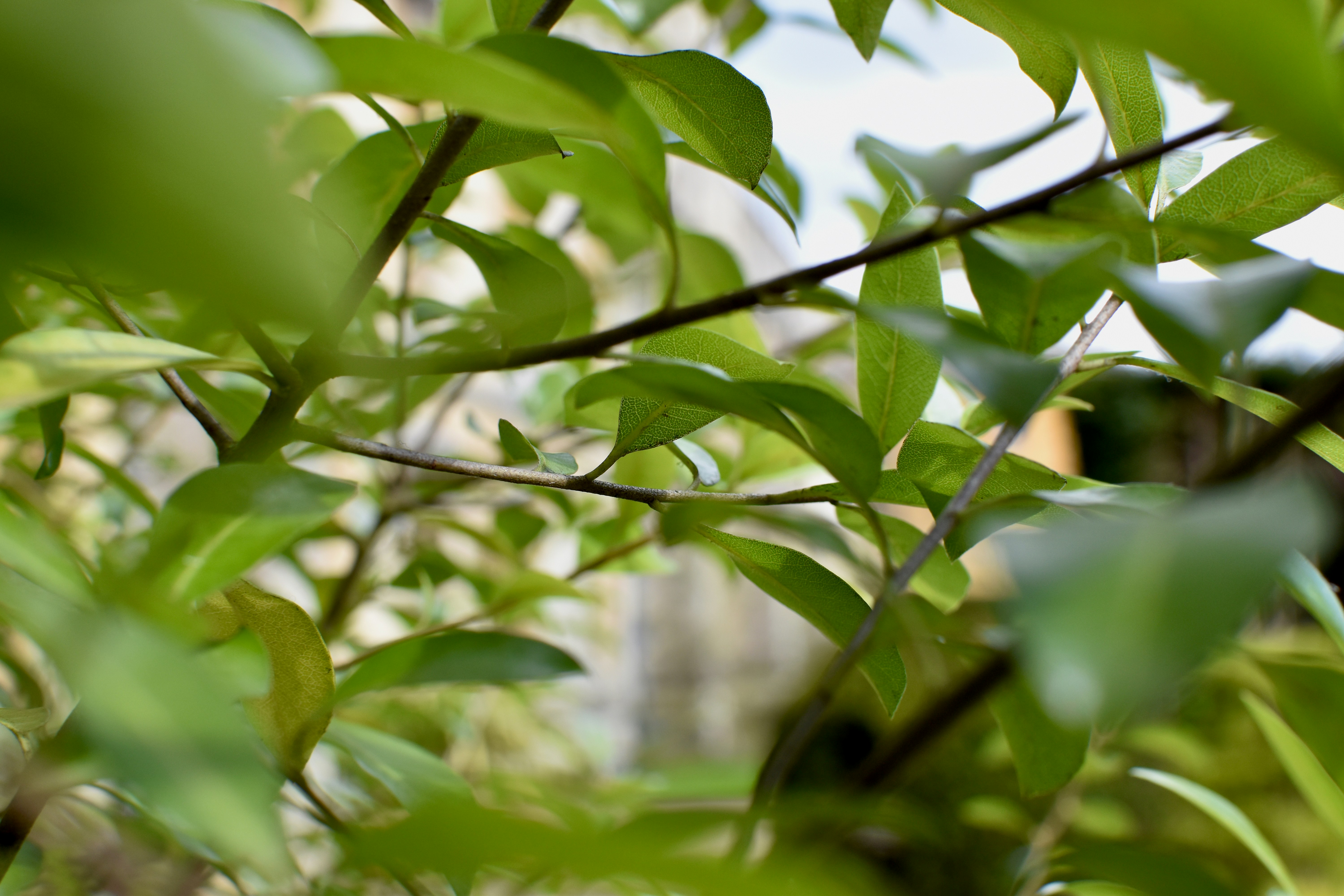 Photo by sisacreative