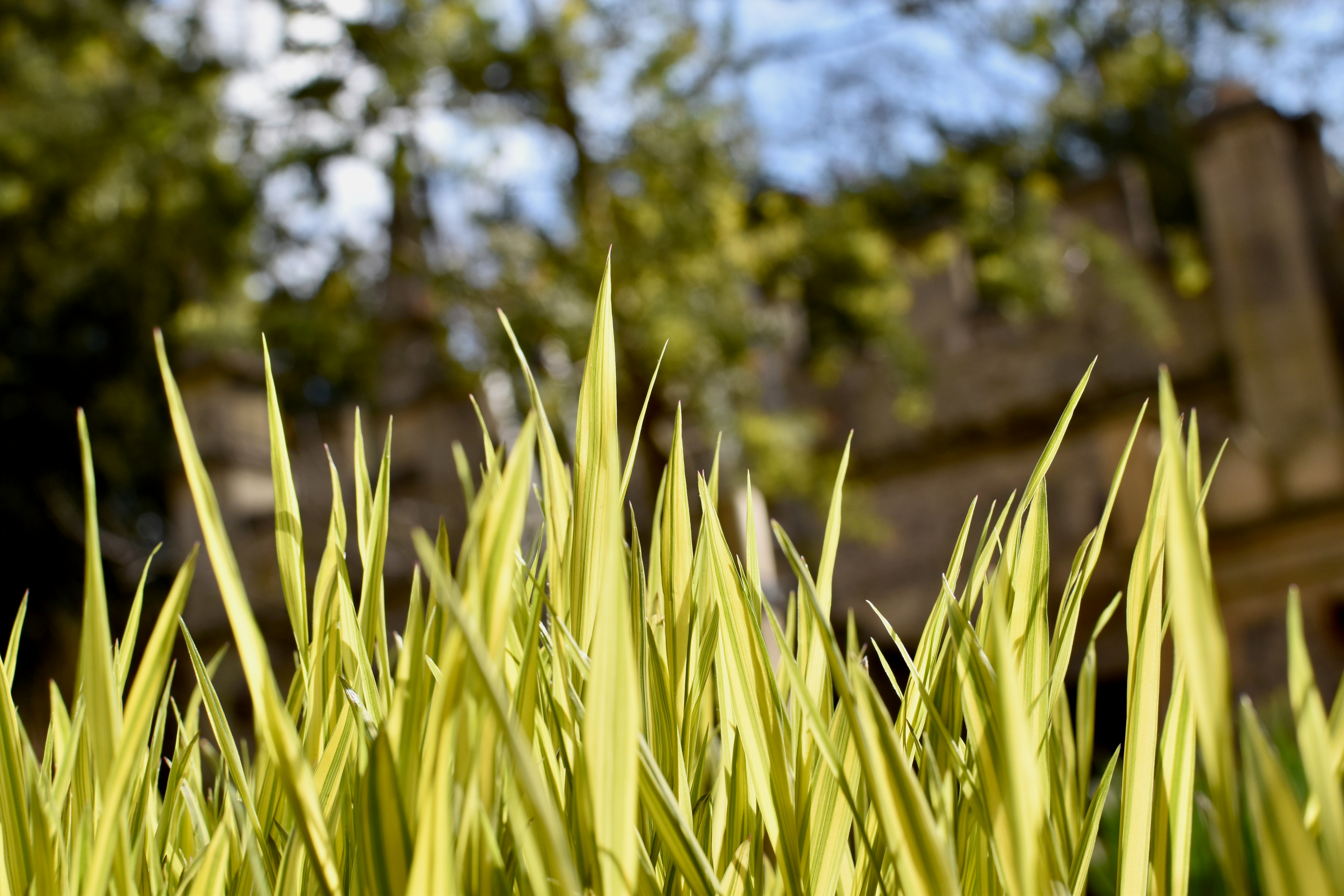 Photo by sisacreative