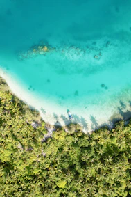 A vibrant photo of a tropical Philippine beach with crystal-clear waters and a traditional boat anchored near the shore.