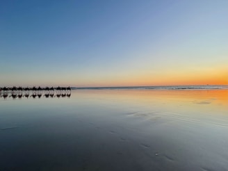 Golden dunes at sunset with a camel caravan silhouetted against the sky at Tamri Beach.