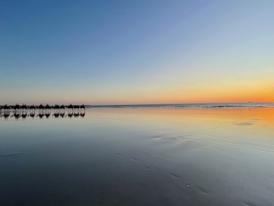 Golden dunes at sunset with a camel caravan silhouetted against the sky at Tamri Beach.