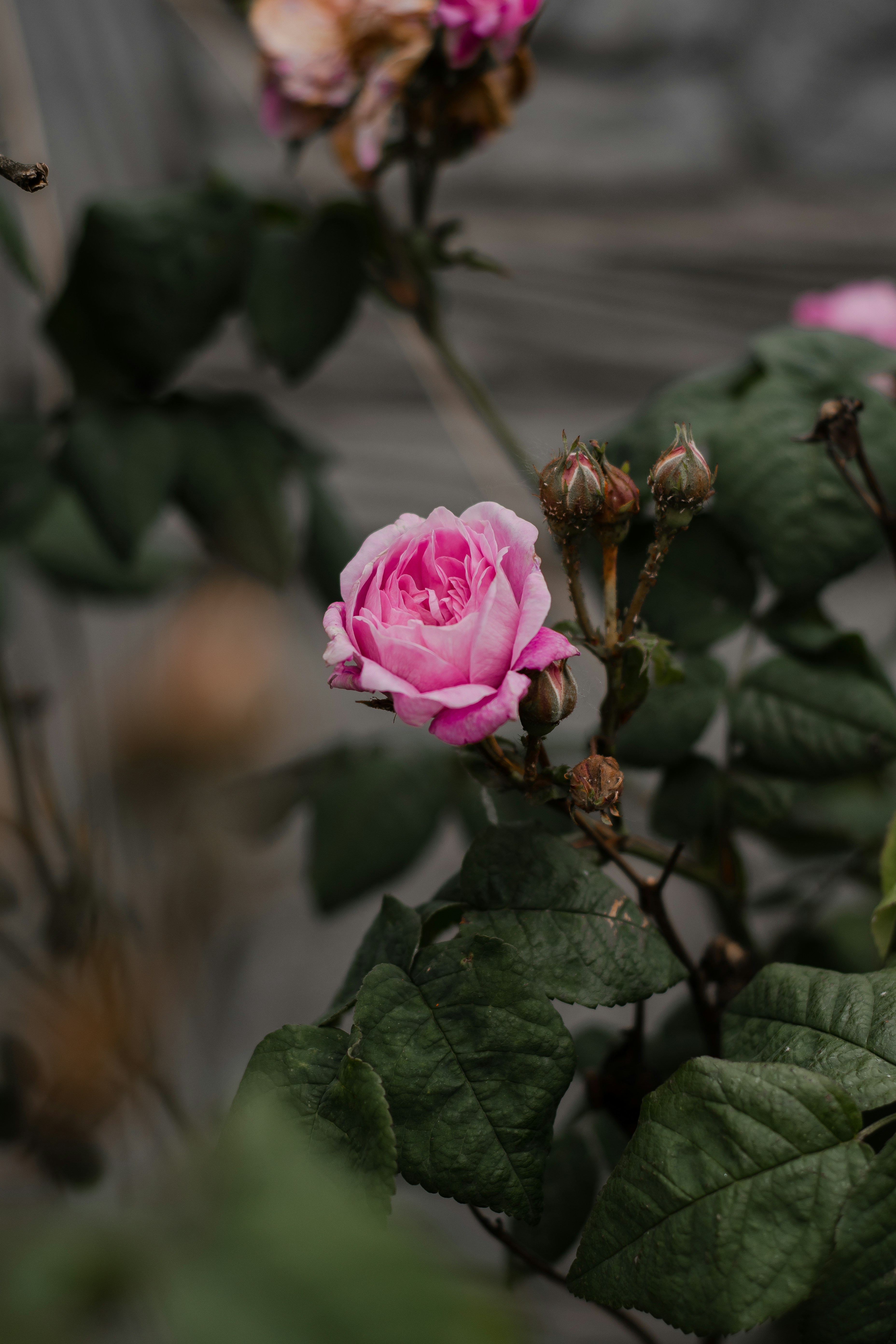 Photo by raspopovamarisha