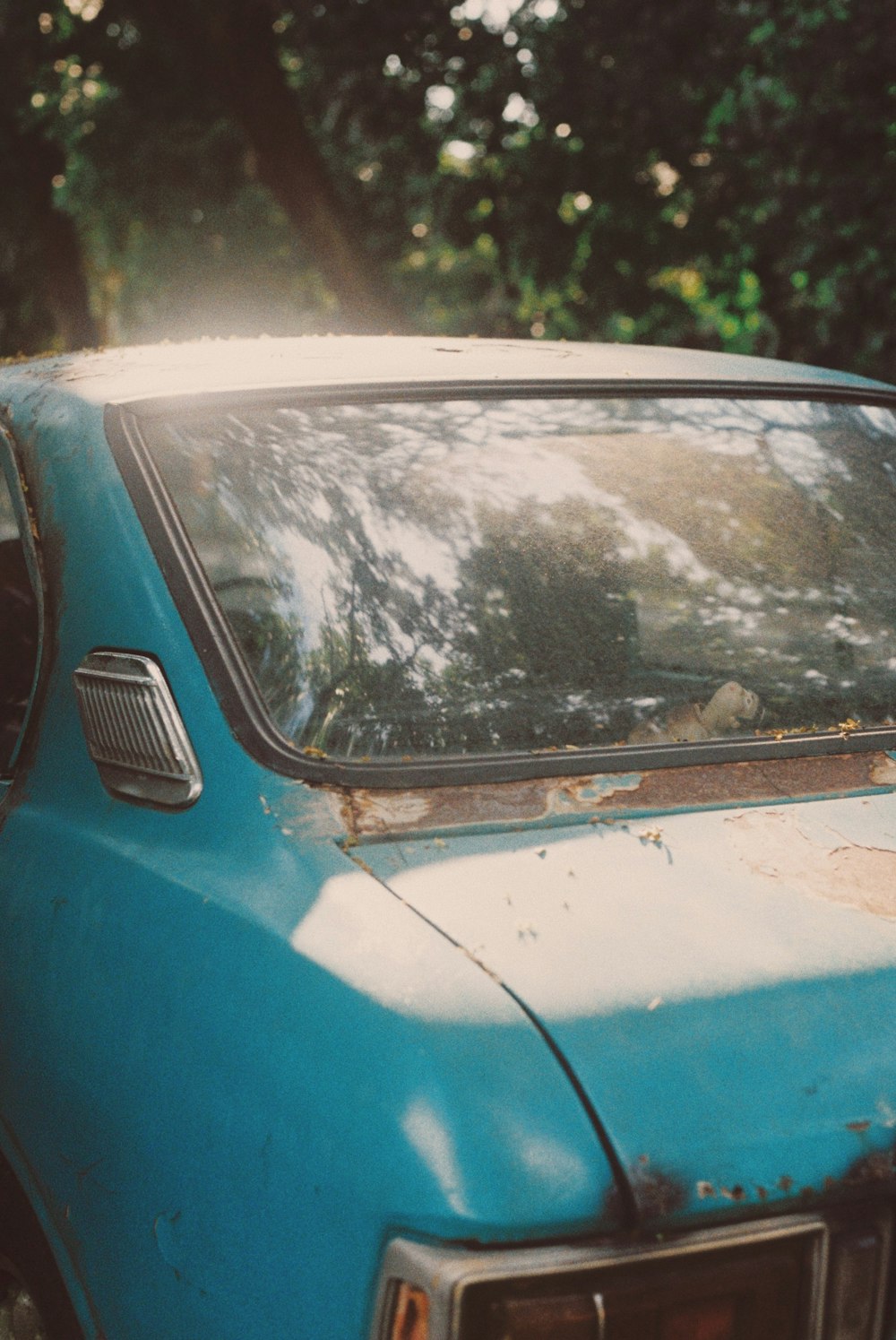 a blue car parked next to a forest