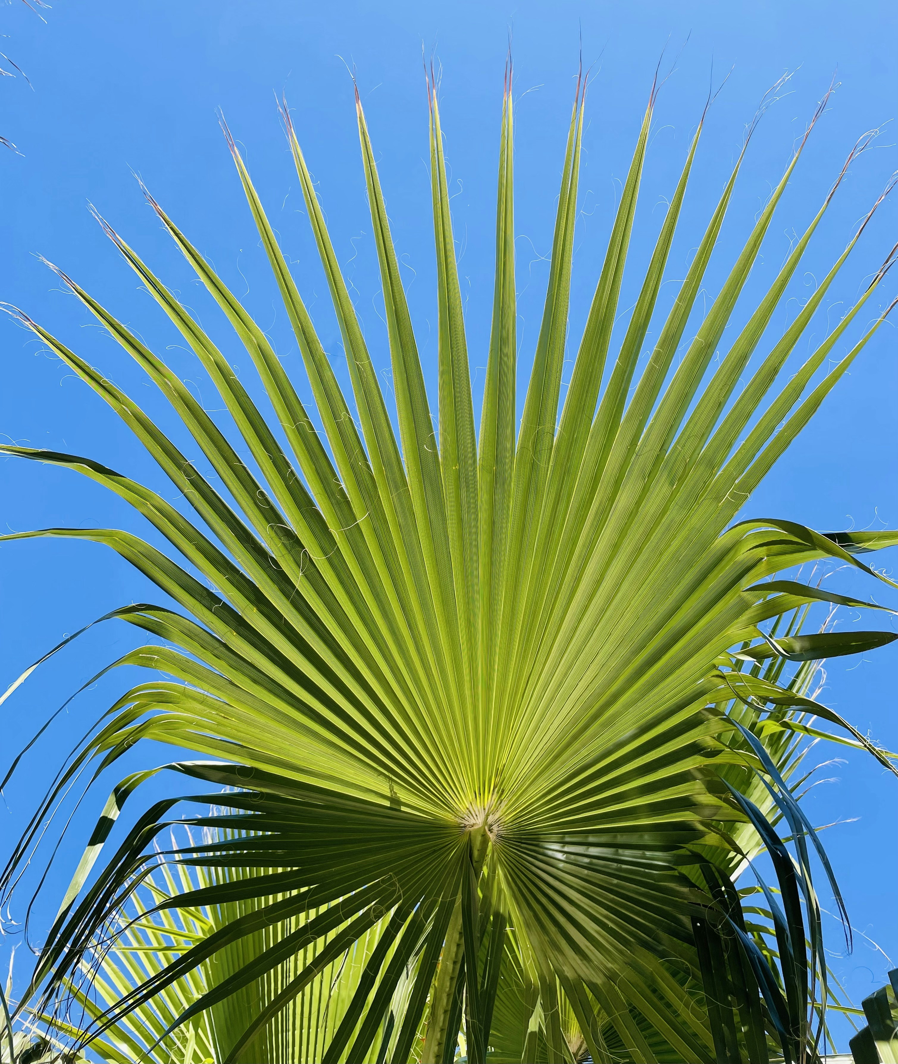 Photo by galifianakis