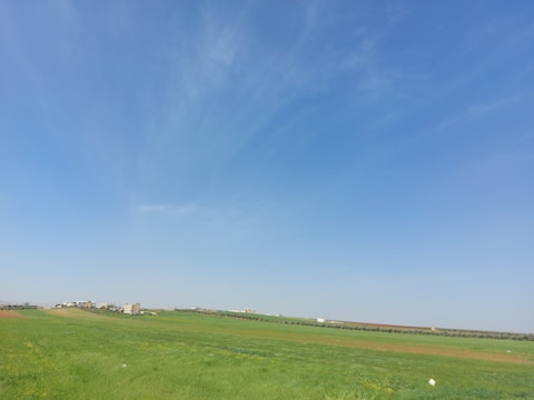 Open grassy field with a clear blue sky, ready for building.