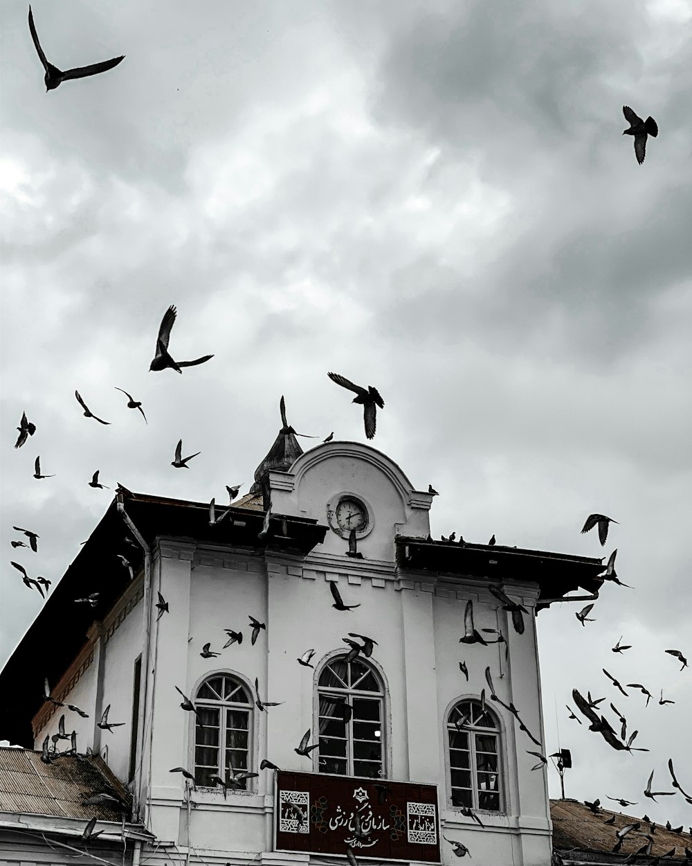 a flock of birds flying over a building