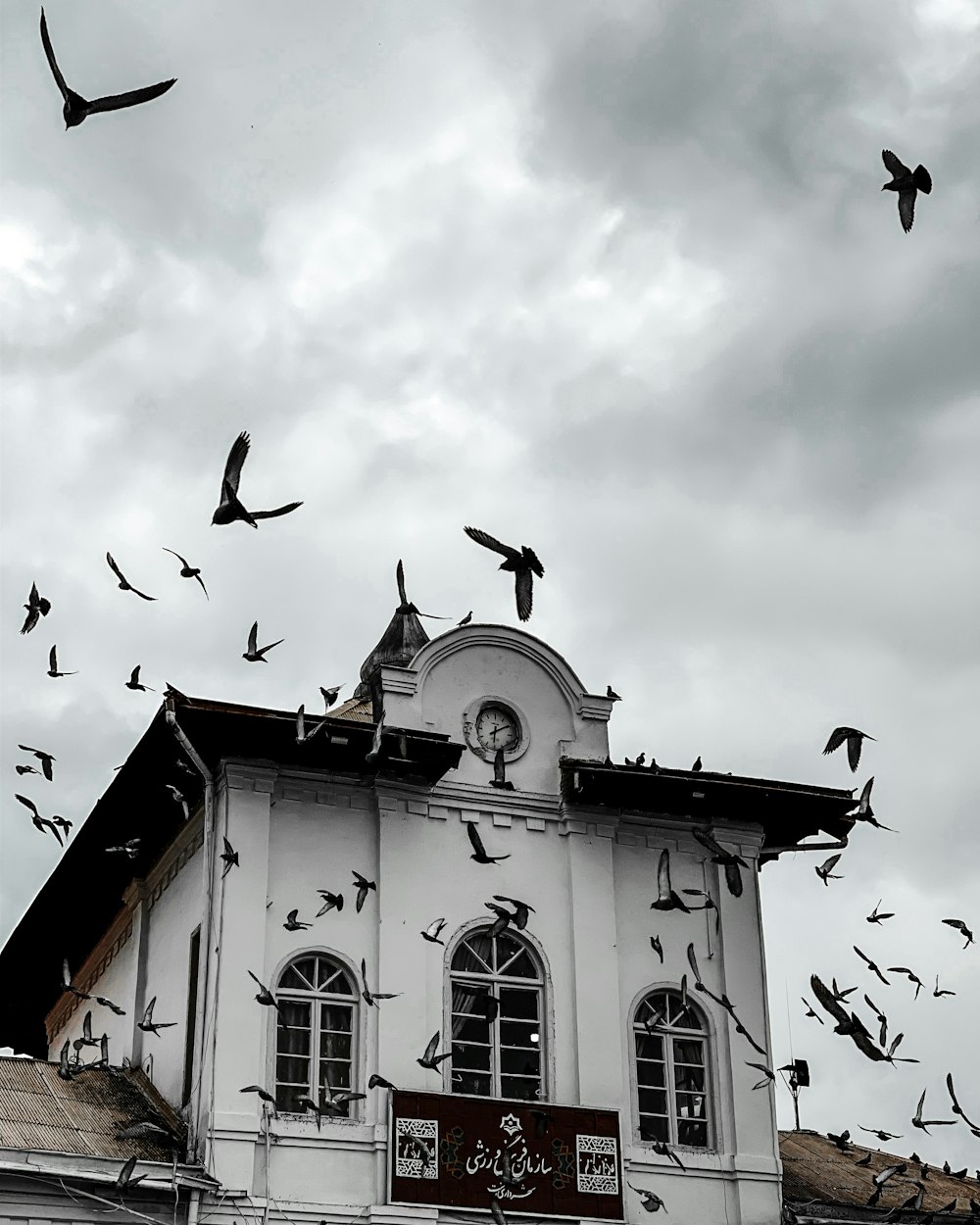 um bando de pássaros voando sobre um edifício