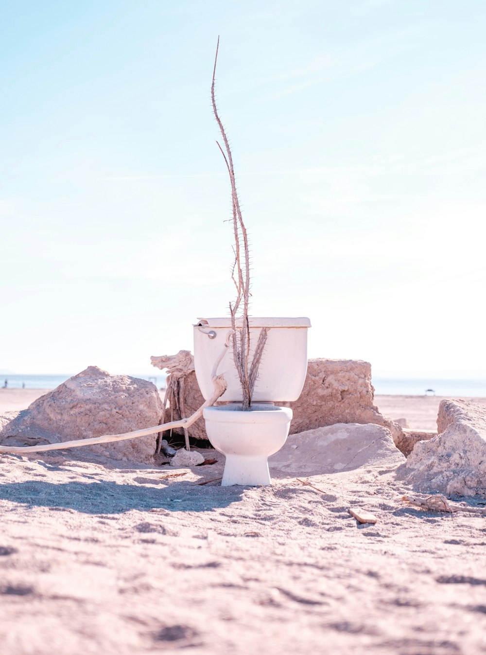 a toilet sitting on top of a sandy beach
