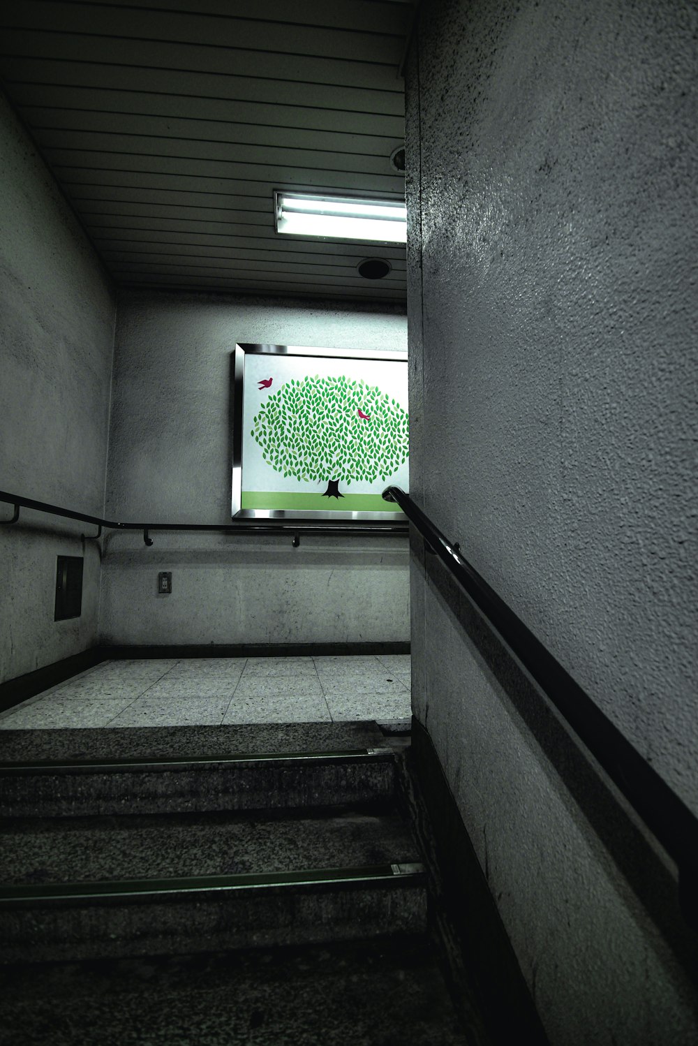 a picture of a tree on a screen in a stairwell