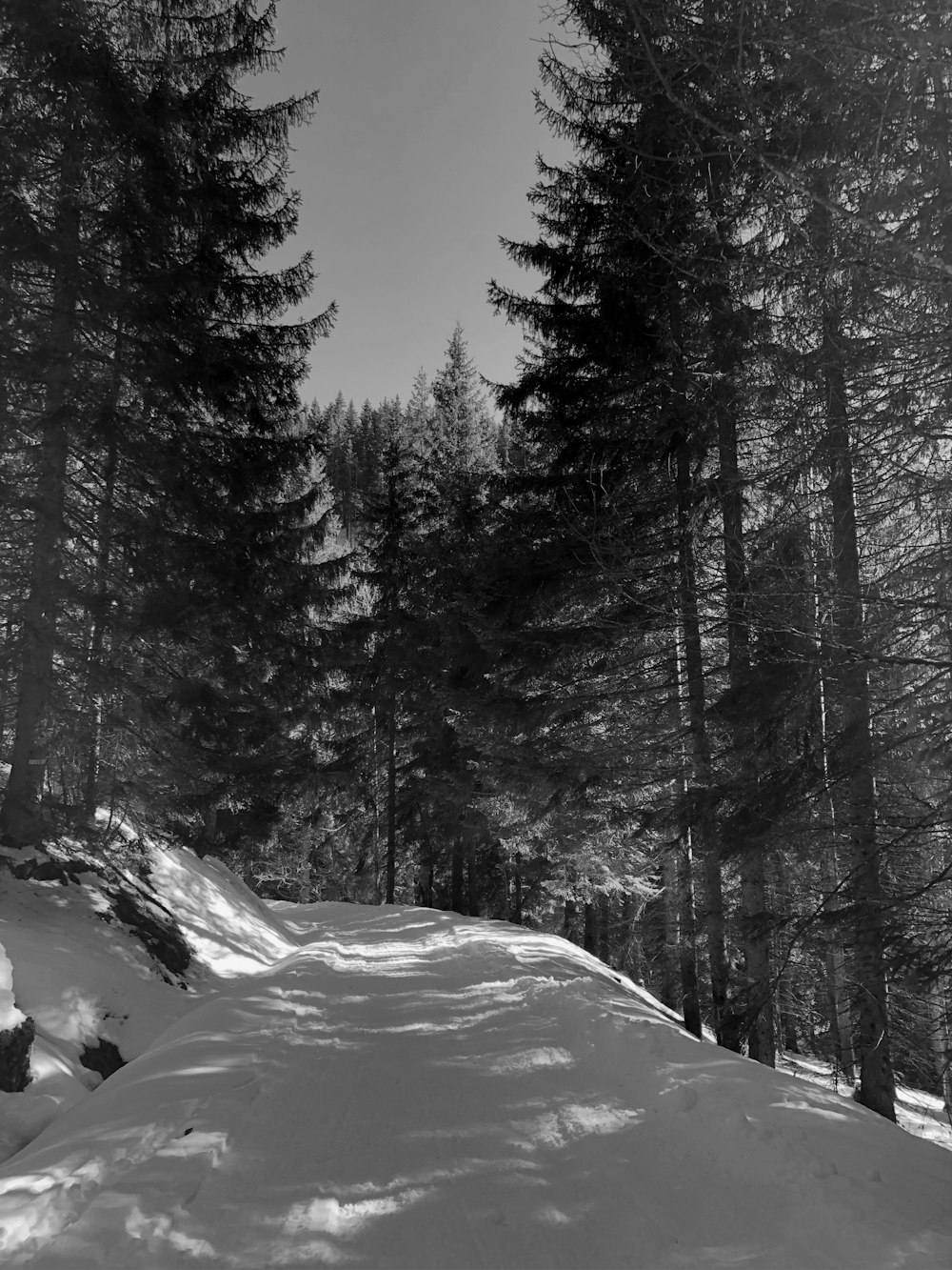 a black and white photo of a snow covered road