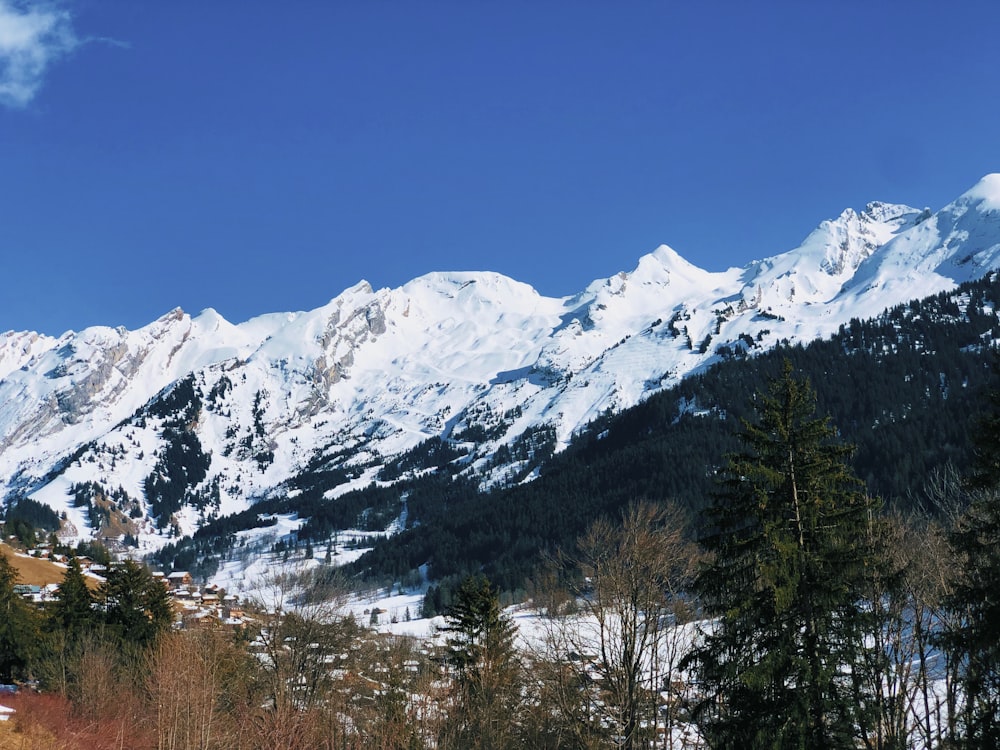 a snow covered mountain range with trees in the foreground