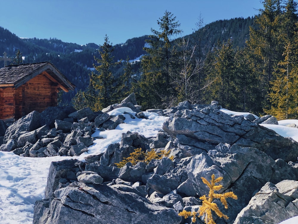 地面に雪が降る山の小屋