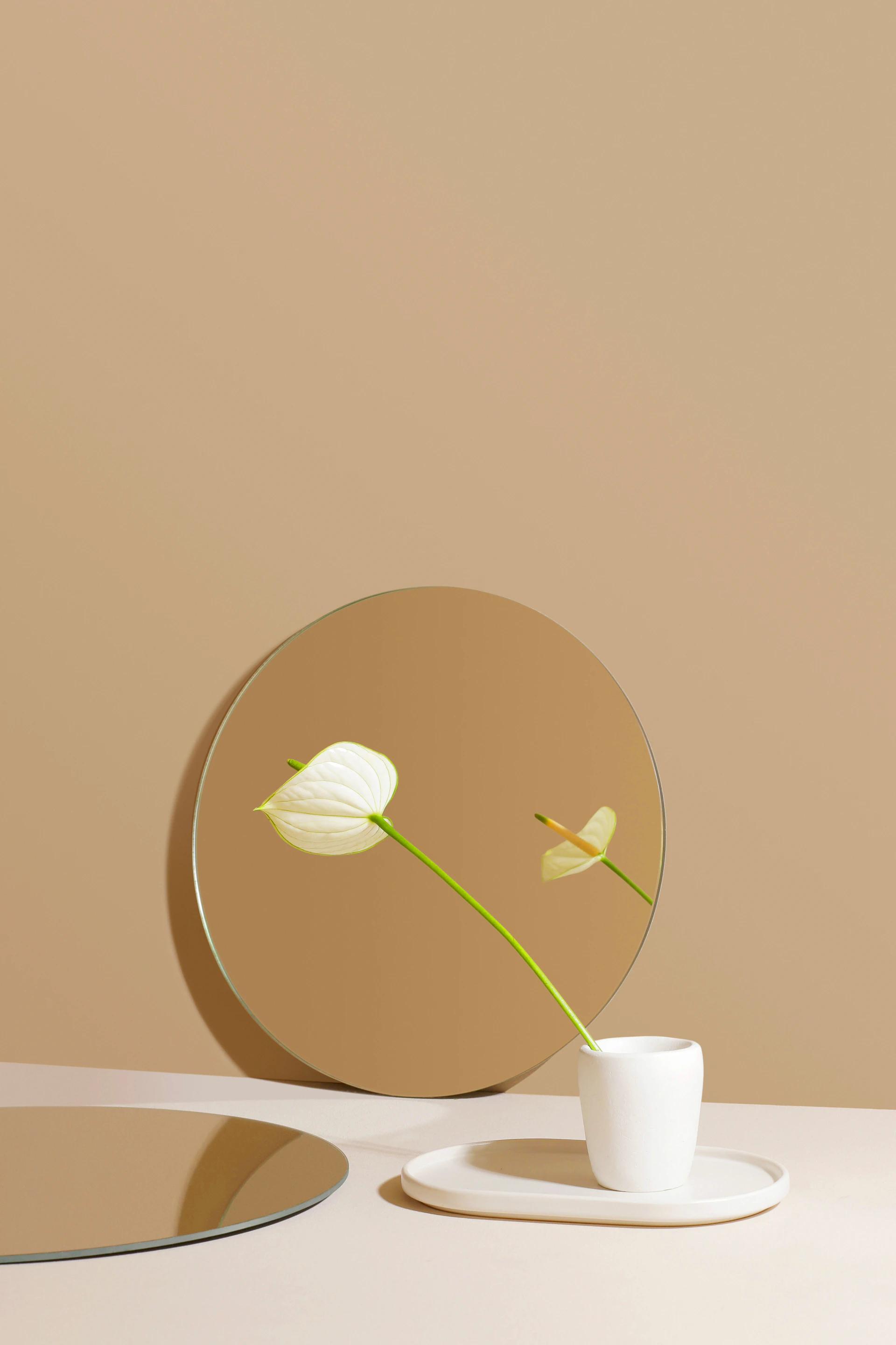 a white cup and saucer with a flower in it