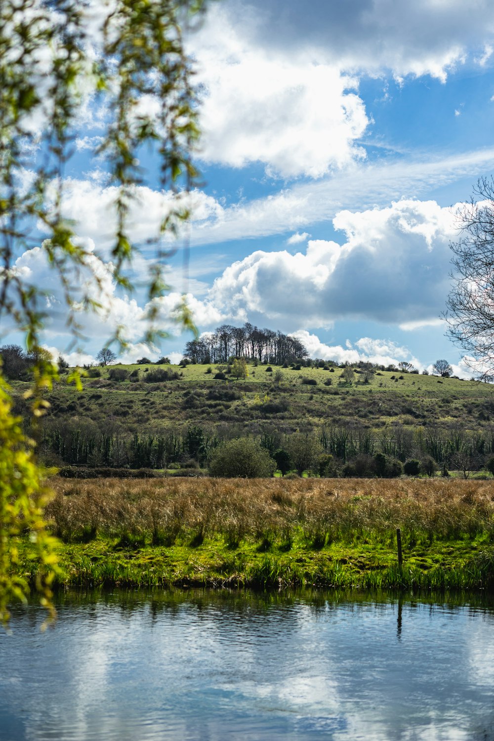 a body of water surrounded by a lush green hillside