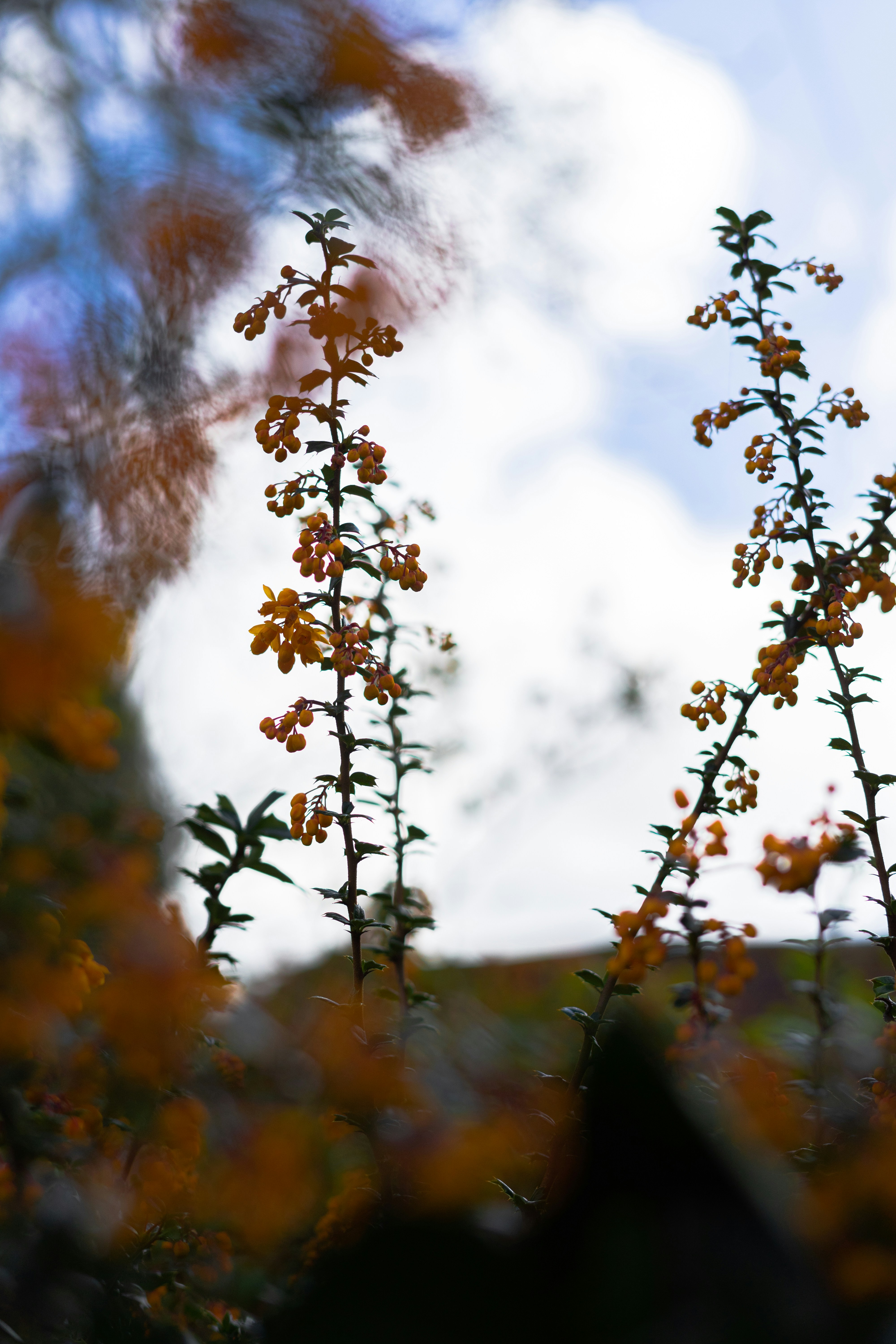 Photo by itsrobcoates