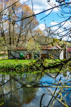 A peaceful outdoor scene in Hertfordshire symbolizing clarity and fresh starts.
