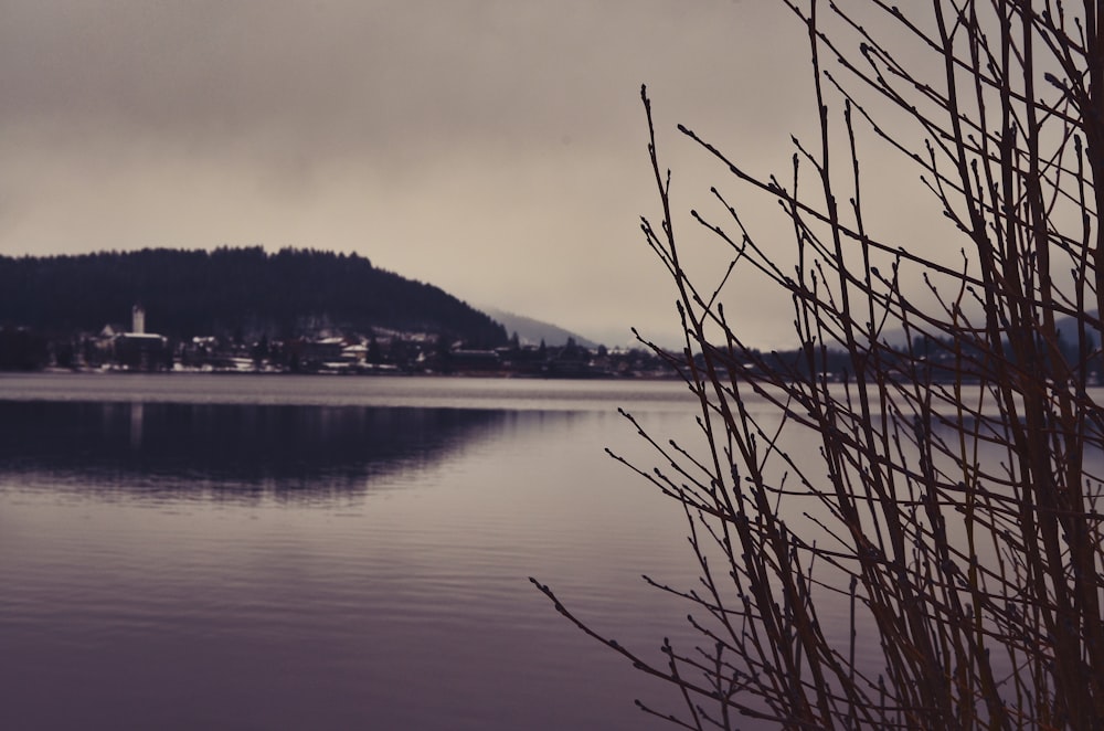 a body of water with a mountain in the background