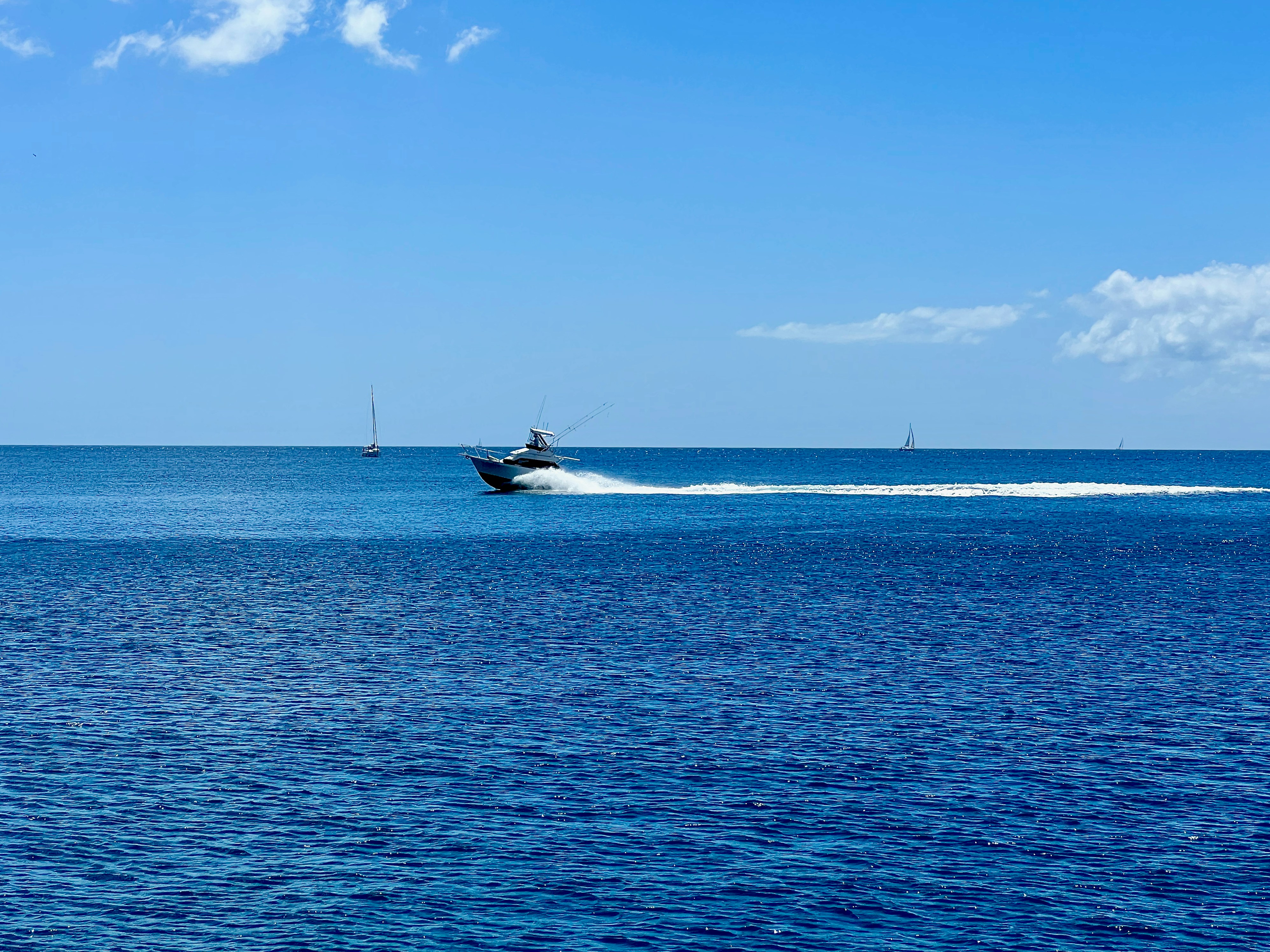 Photo by isawcompany