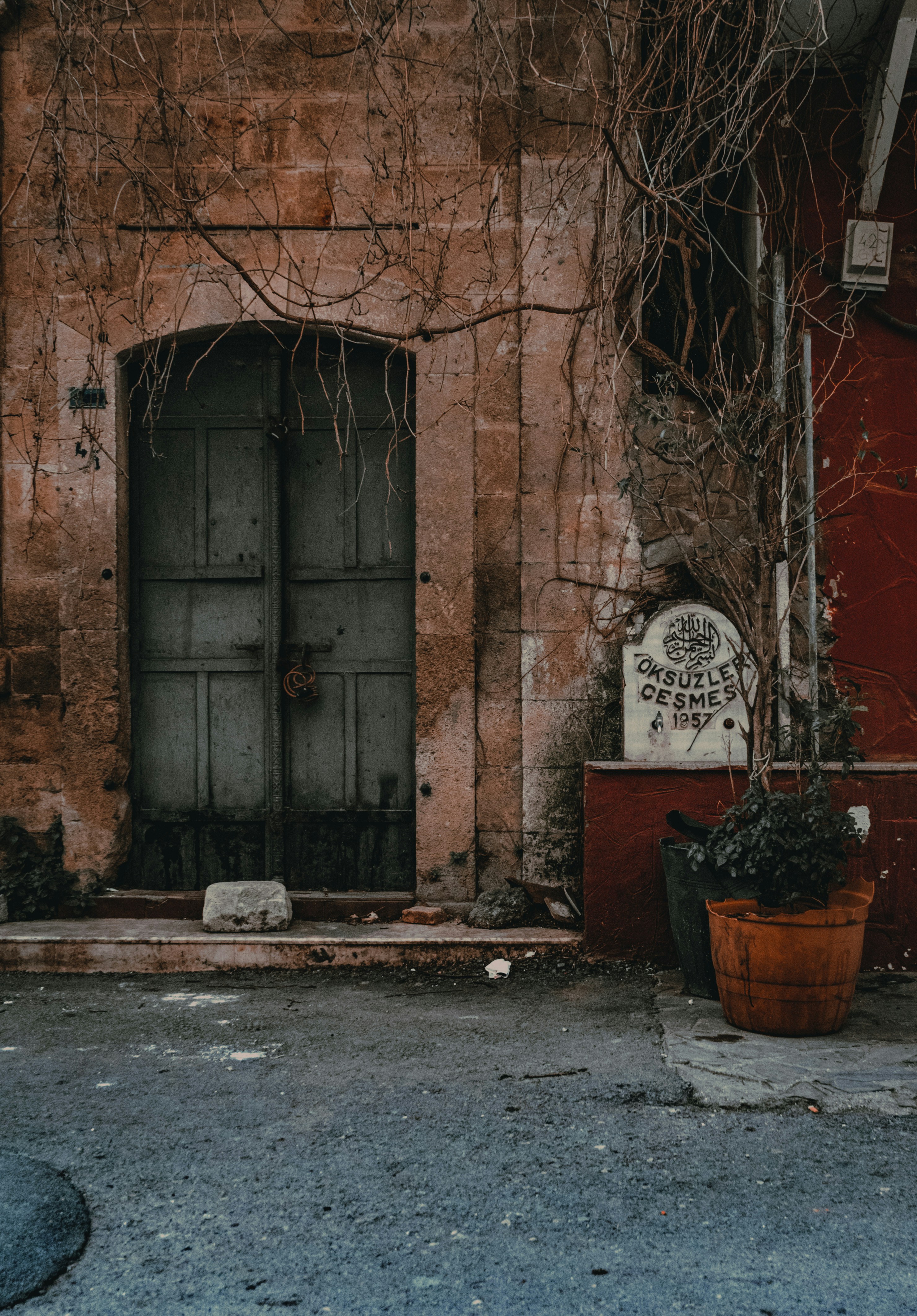 Photo by oldsoulframes