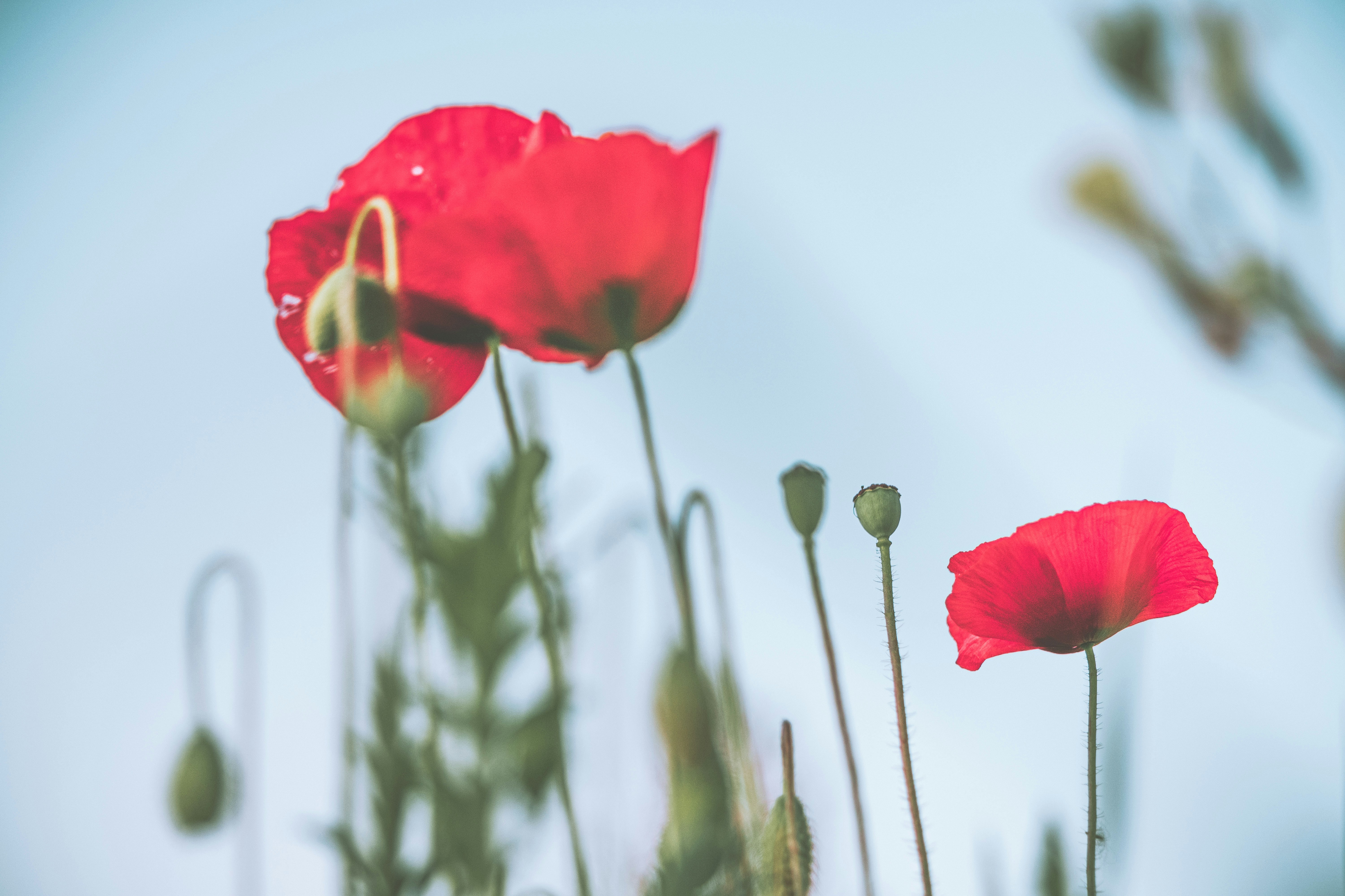 Photo by oldsoulframes