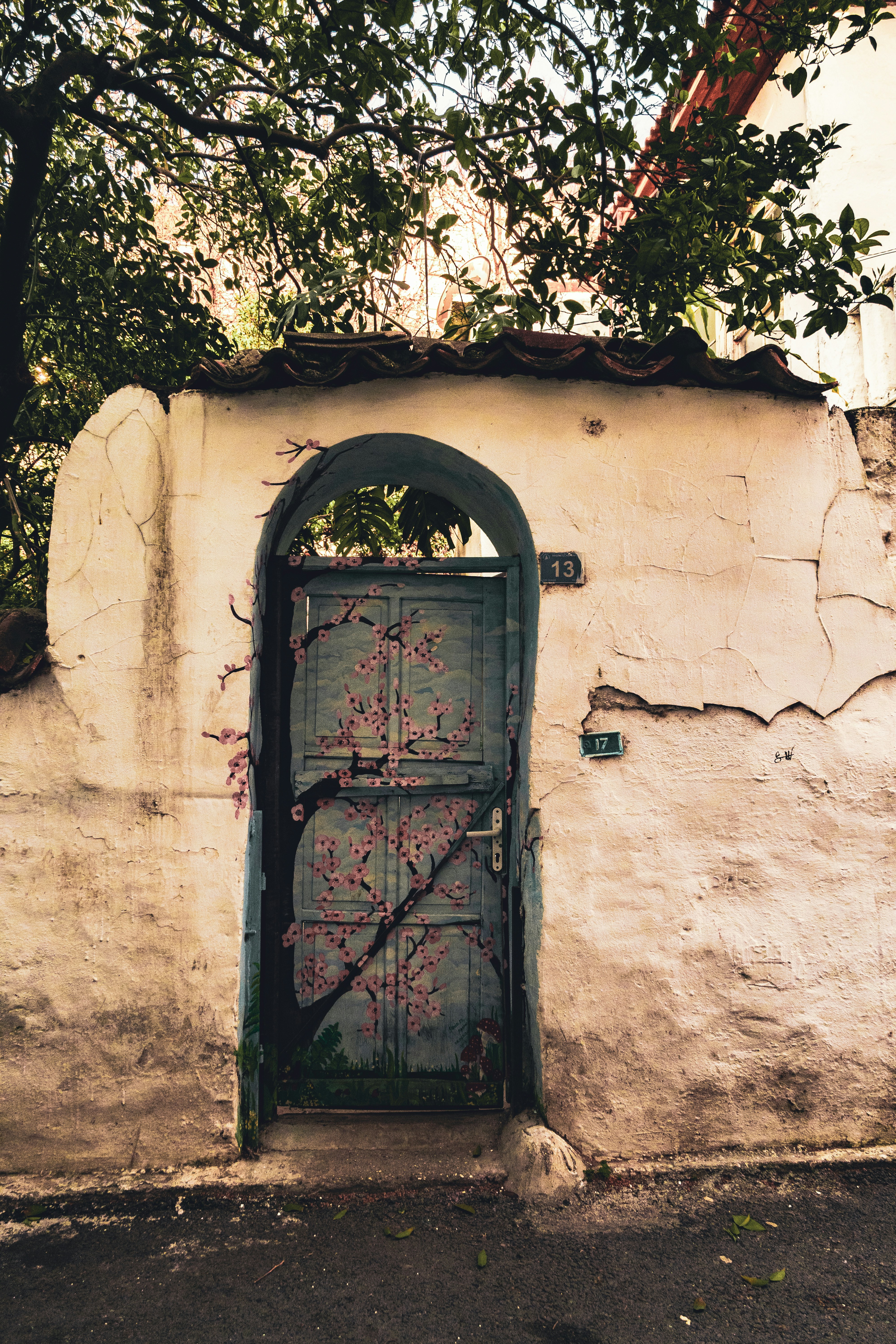 Photo by oldsoulframes