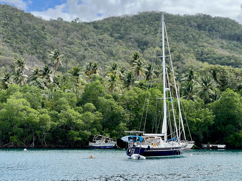 a sailboat in the water near a forested area